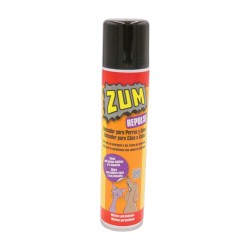 ZOOM Esprai Educador per a...