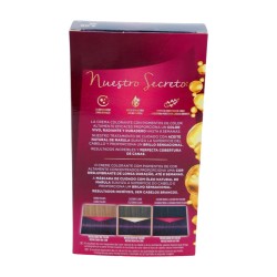 PALETTE Intensive n.º 4.99...