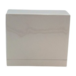 LOEWE ESENCIA 100 ml + MINI