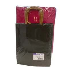 Bossa de Paper 20x24
