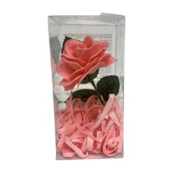 Rosa de Sabó en Caixa