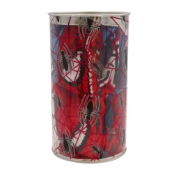SPIDERMAN Hucha + 4 Pares...