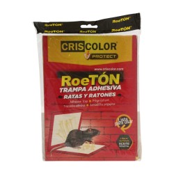 CRISCOLOR Roetón Parany...