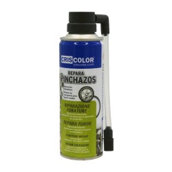 CRISCOLOR Repara Burxades...
