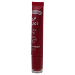 THE FRUIT COMPANY Lip Gloss...