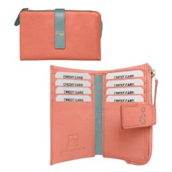 ACQ Cartera Pell Terra 17...